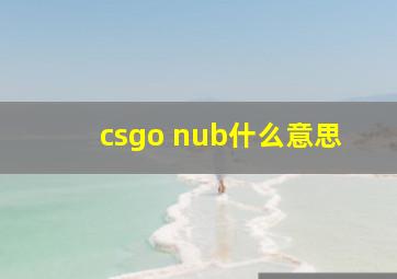 csgo nub什么意思